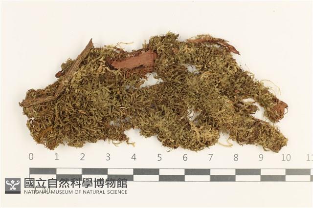 登錄號:B00019787藏品圖，第1張