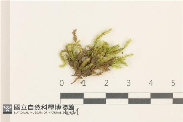 登錄號:B00014635藏品圖，第1張