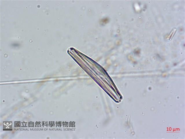 登錄號:A00004635藏品圖，第4張
