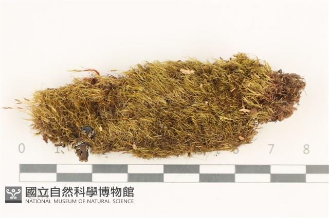 登錄號:B00017635藏品圖，第1張