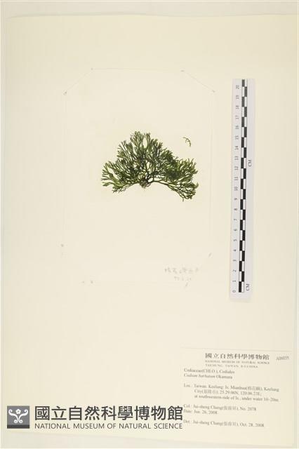 登錄號:A00006035藏品圖，第3張