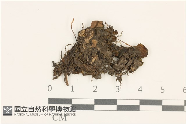 登錄號:B00014035藏品圖，第1張