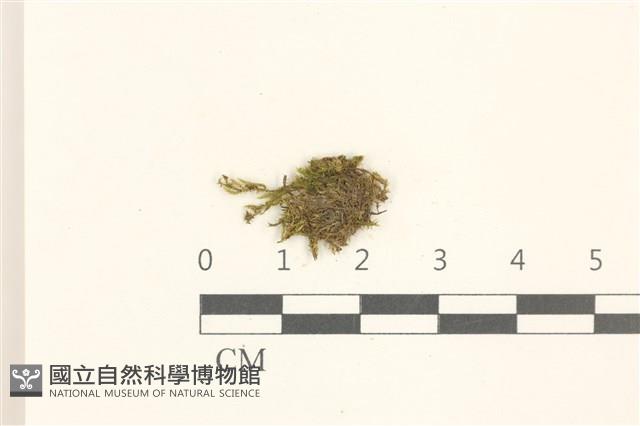 登錄號:B00015135藏品圖，第1張