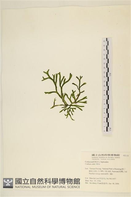 登錄號:A00001135藏品圖，第3張