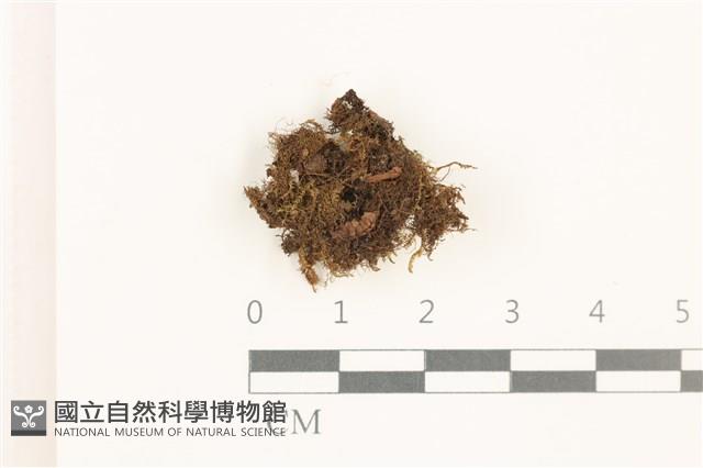 登錄號:B00019535藏品圖，第1張