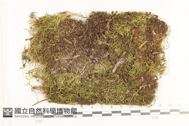 登錄號:B00012435藏品圖，第1張