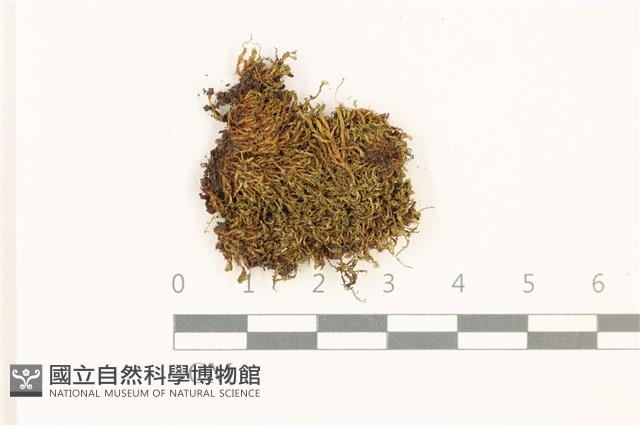 登錄號:B00014435藏品圖，第1張