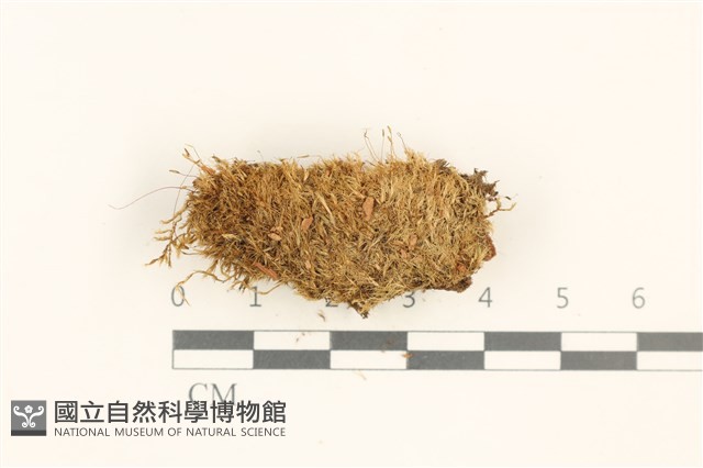 登錄號:B00013435藏品圖，第1張