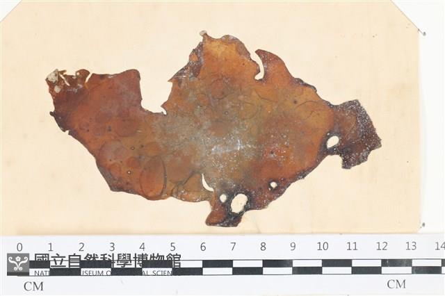 登錄號:A00003735藏品圖，第1張