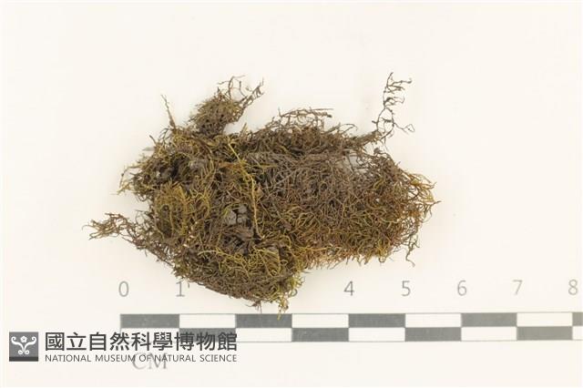 登錄號:B00014655藏品圖，第1張