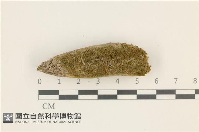 登錄號:B00018155藏品圖，第1張