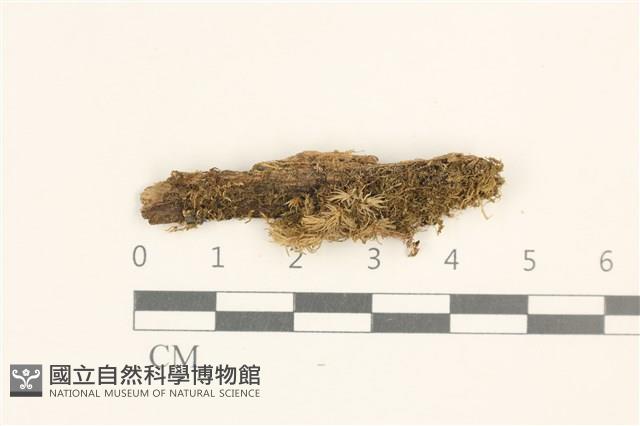 登錄號:B00019155藏品圖，第1張
