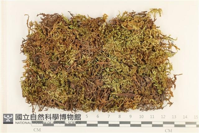 登錄號:B00016155藏品圖，第1張