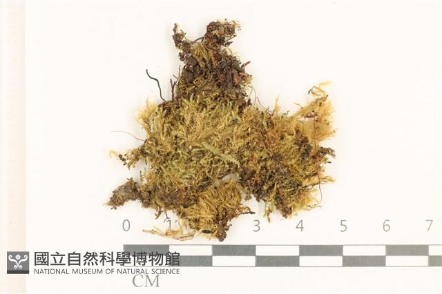 登錄號:B00015155藏品圖，第1張