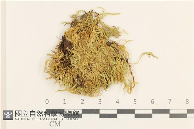 登錄號:B00015555藏品圖，第1張