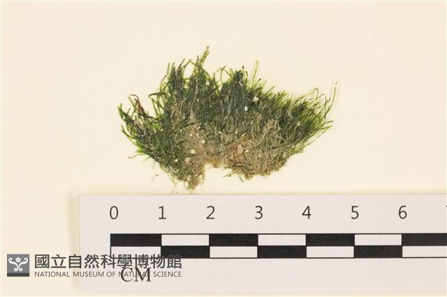 登錄號:A00005555藏品圖，第1張