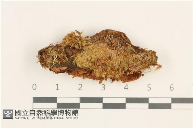 登錄號:B00014455藏品圖，第1張