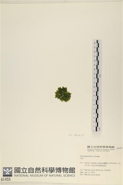 登錄號:A00001455藏品圖，第3張