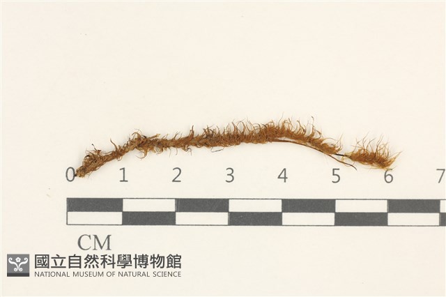 登錄號:B00004355藏品圖，第1張
