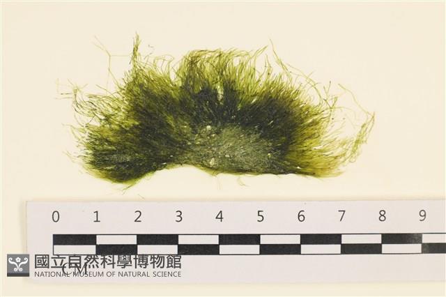 登錄號:A00001755藏品圖，第1張