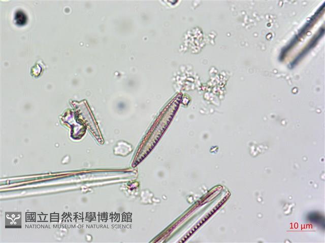 登錄號:A00004625藏品圖，第4張
