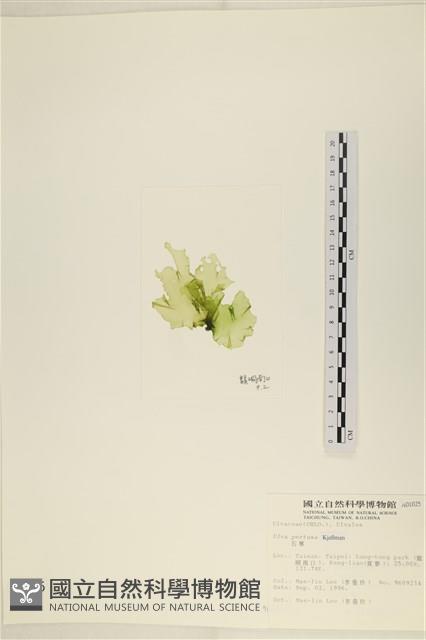 石蓴藏品圖，第3張