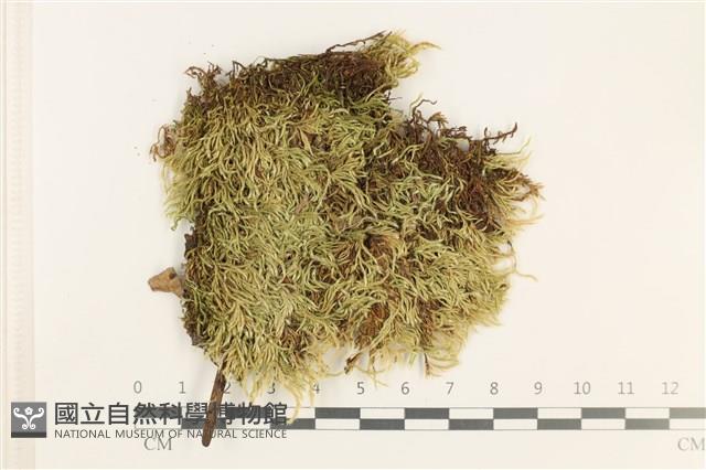 登錄號:B00012425藏品圖，第1張