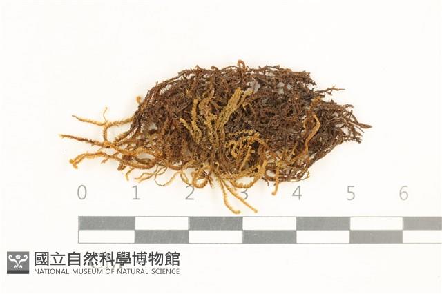 Accession Number:B00002425 Collection Image, Figure 1, Total 2 Figures