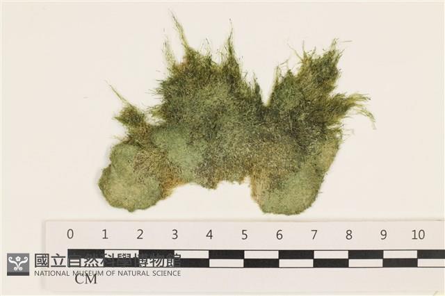 登錄號:A00002425藏品圖，第1張