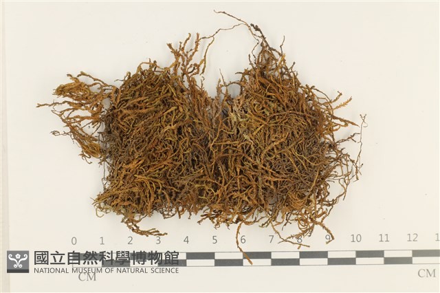 登錄號:B00014425藏品圖，第1張