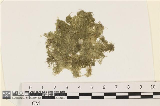 登錄號:A00003425藏品圖，第1張