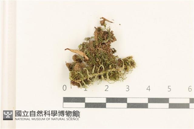 登錄號:B00012725藏品圖，第1張