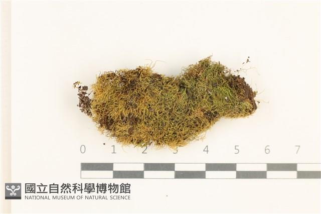 登錄號:B00001725藏品圖，第1張