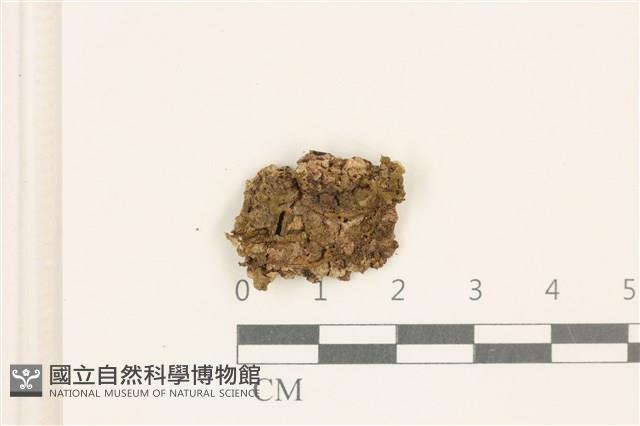 登錄號:B00002675藏品圖，第1張