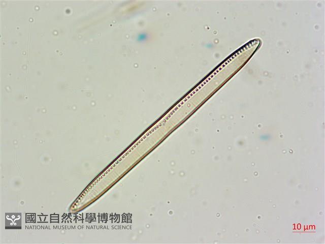 登錄號:A00004675藏品圖，第4張