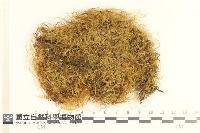 登錄號:B00010675藏品圖，第1張