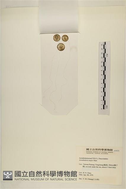 登錄號:A00005075藏品圖，第3張