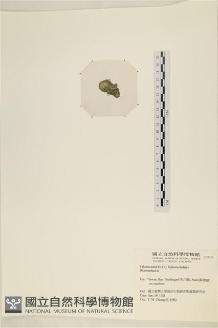 登錄號:A00002475藏品圖，第3張