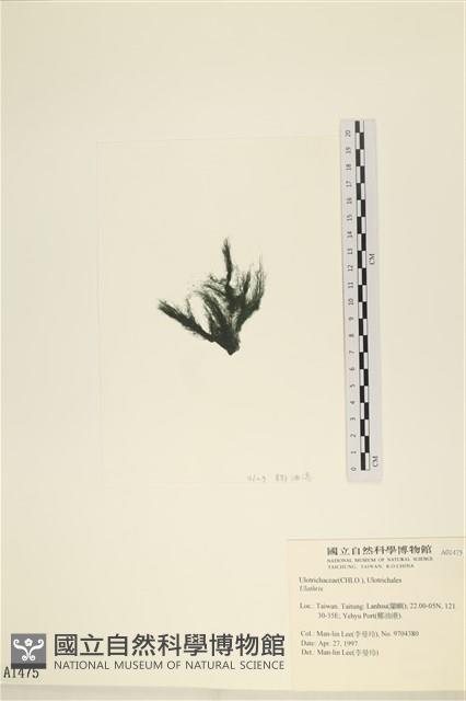 登錄號:A00001475藏品圖，第3張