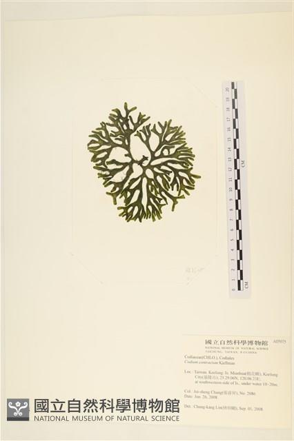 登錄號:A00005975藏品圖，第3張