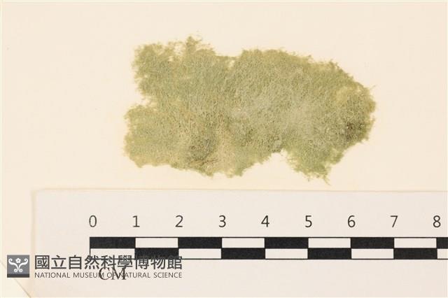 Accession Number:A00005015 Collection Image, Figure 1, Total 2 Figures