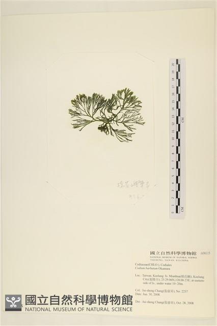 登錄號:A00006115藏品圖，第3張