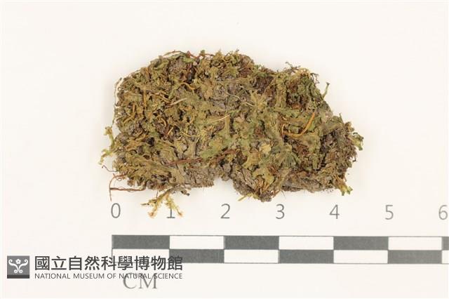 登錄號:B00015115藏品圖，第1張