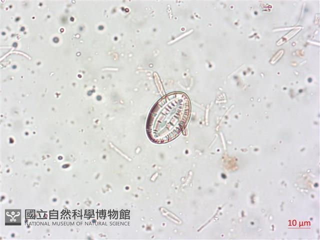 登錄號:A00004515藏品圖，第4張