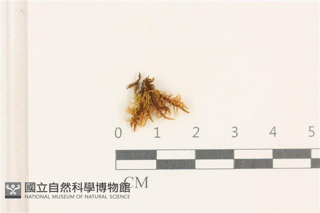 登錄號:B00017515藏品圖，第1張