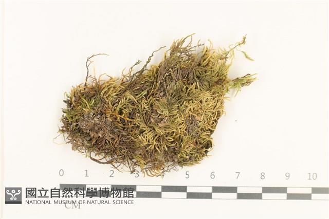 登錄號:B00012415藏品圖，第1張