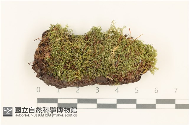 Accession Number:B00009415 Collection Image, Figure 1, Total 2 Figures