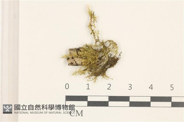 登錄號:B00011415藏品圖，第1張