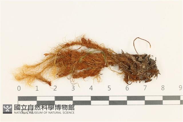 登錄號:B00008315藏品圖，第1張