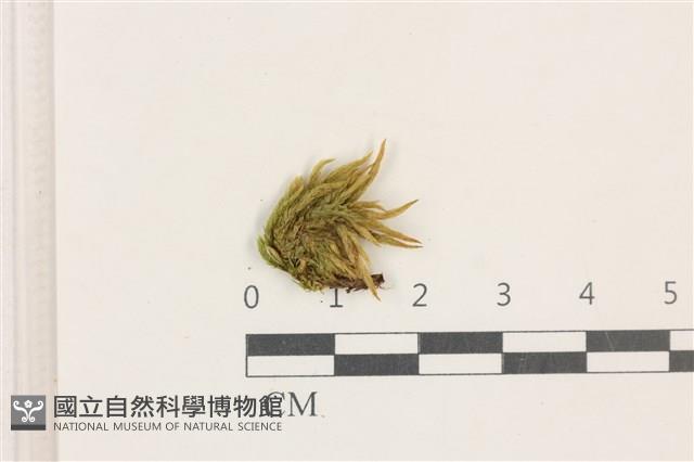 登錄號:B00017315藏品圖，第1張